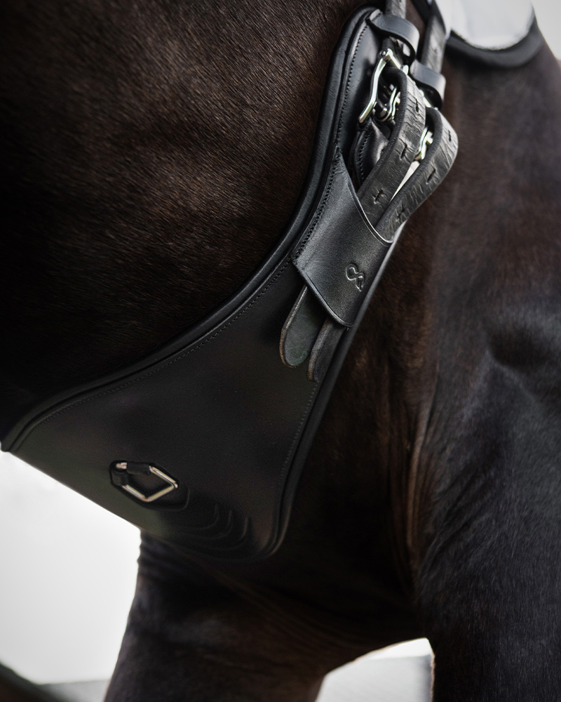 Girth PerformFree dressage